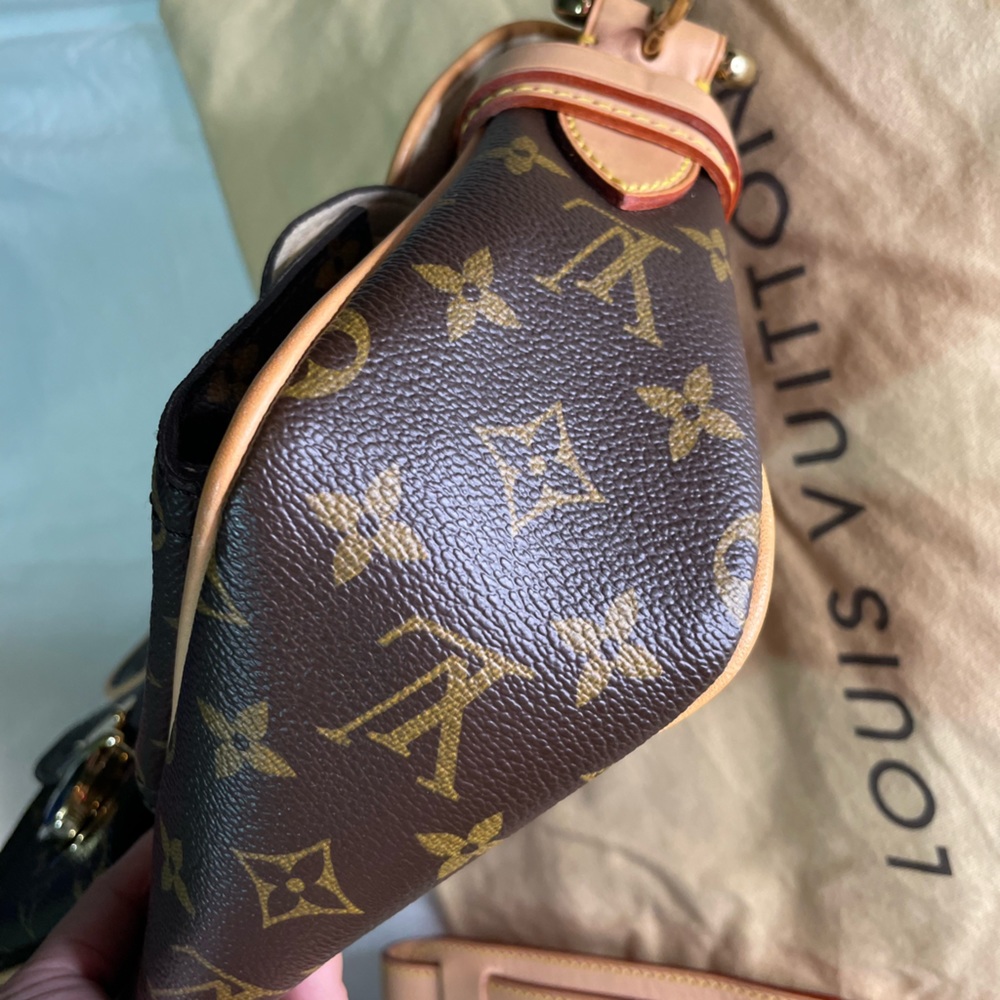 Louis Vuitton Monogram Hudson Bag 🤎 - Picture 4 of 13